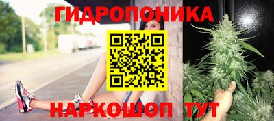 мет Камышлов