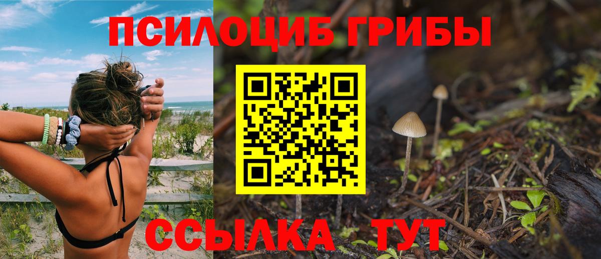 Псилоцибиновые грибы ЛСД  Вход с VPN  Кузнецк 